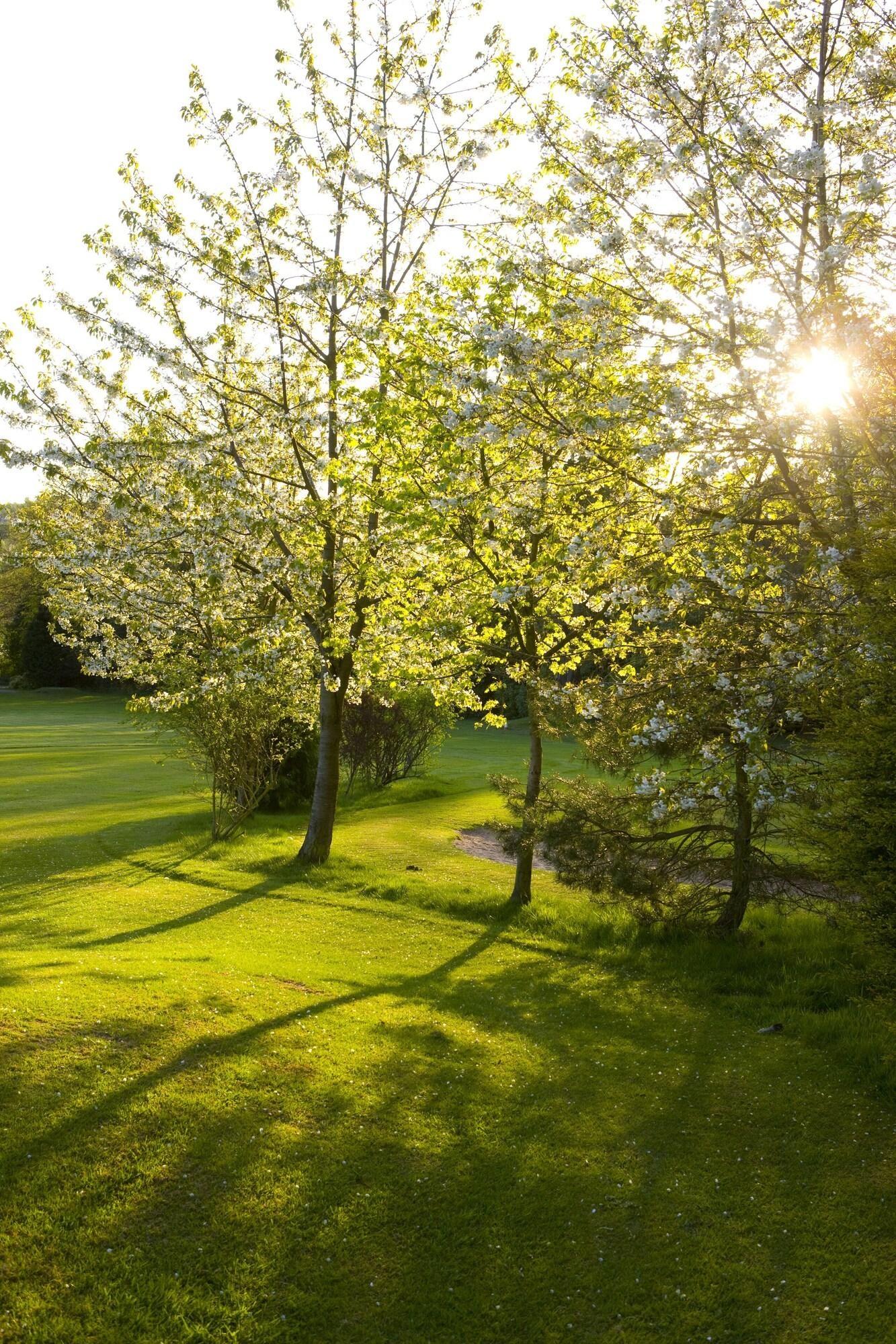 St. Pierre Park Hotel & Golf Saint Peter Port Exteriör bild
